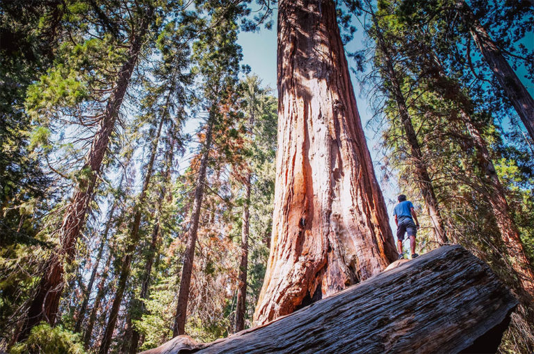 La promesse perdu du tourisme