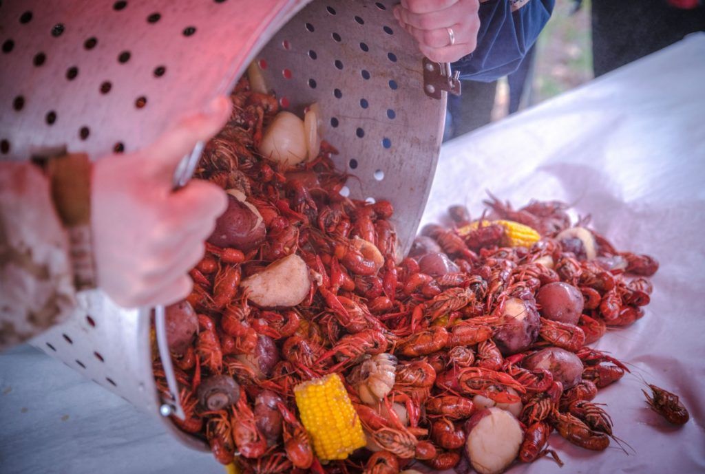 écrevisses Louisiane