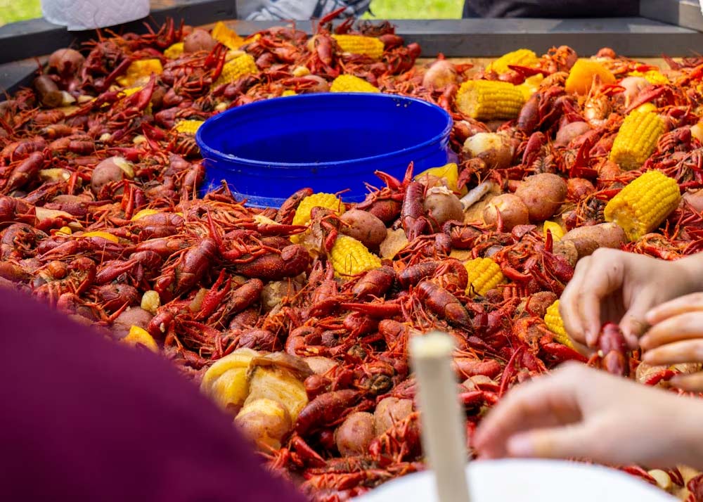 écrevisses Louisiane